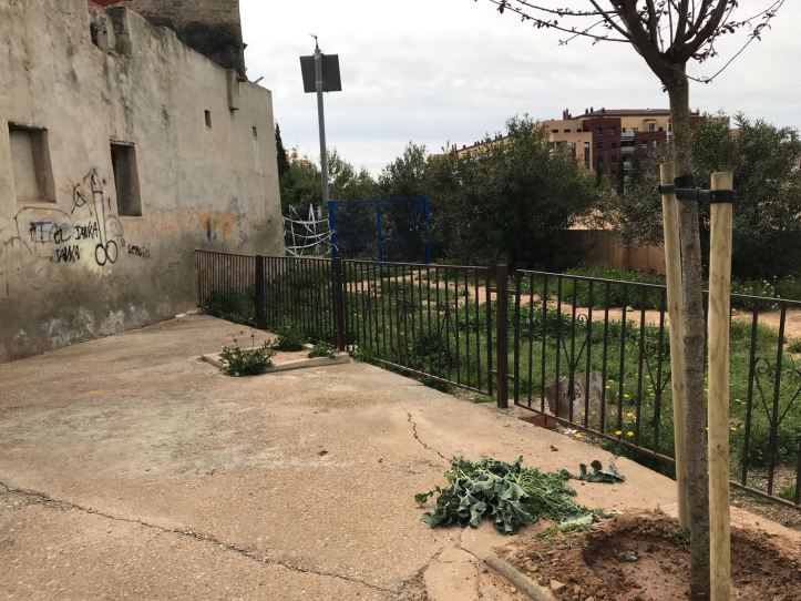 WhatsApp Image 2018-05-02 at 21.18.21 (1)