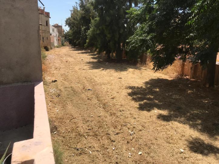 WhatsApp Image 2019-07-27 at 14.03.01