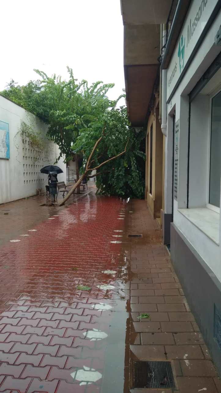 WhatsApp Image 2019-09-12 at 10.57.43