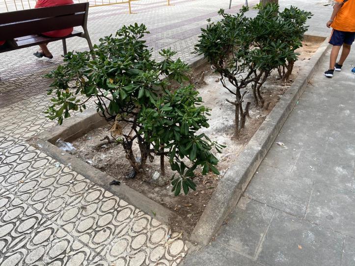 WhatsApp Image 2020-08-30 at 21.51.10