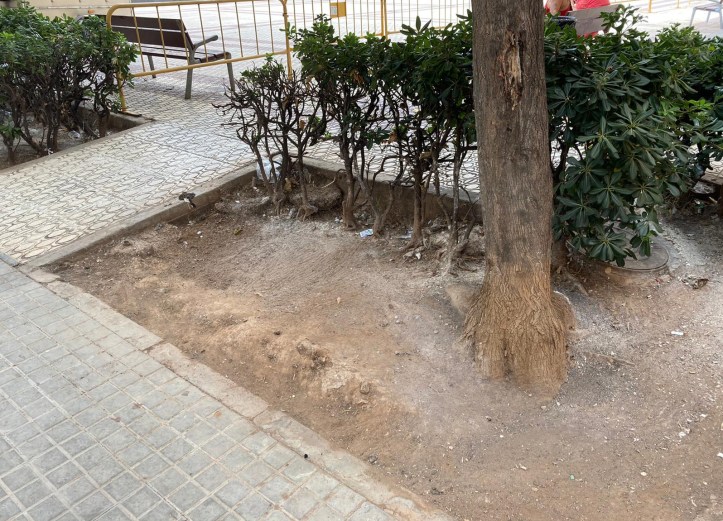 WhatsApp Image 2020-08-30 at 21.51.11